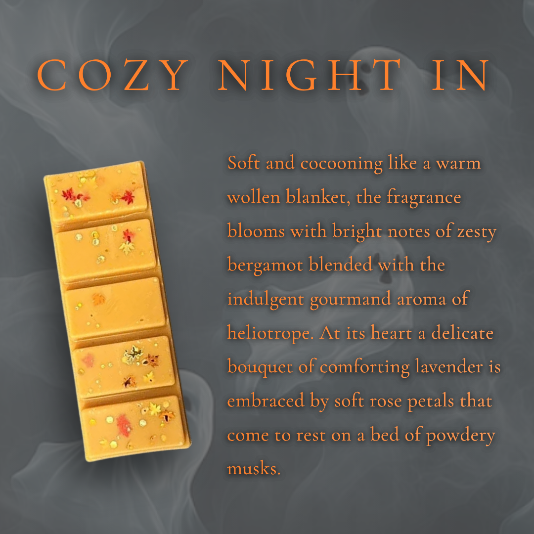 Cozy Night In Snap Bar