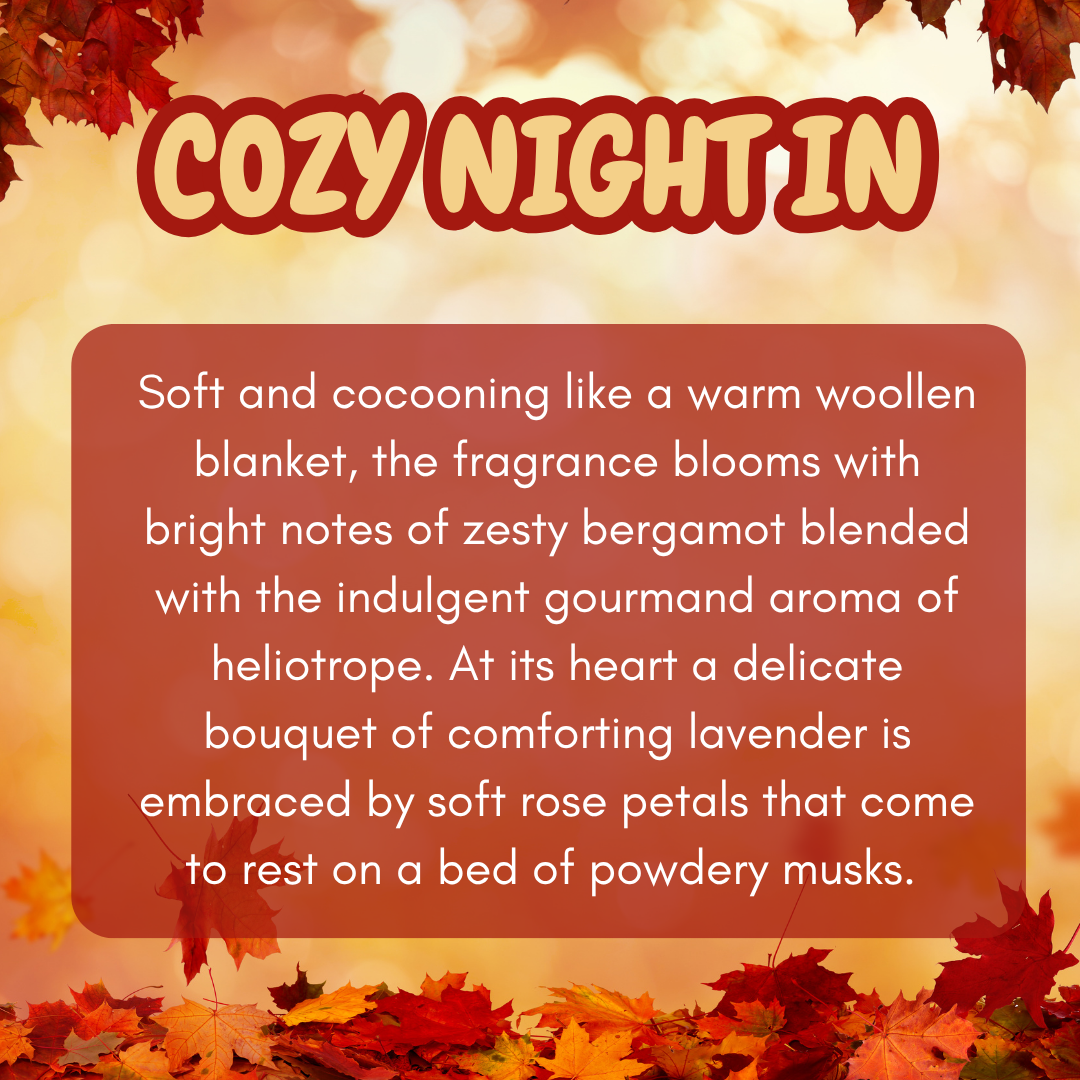 Cozy Night In Snap Bar