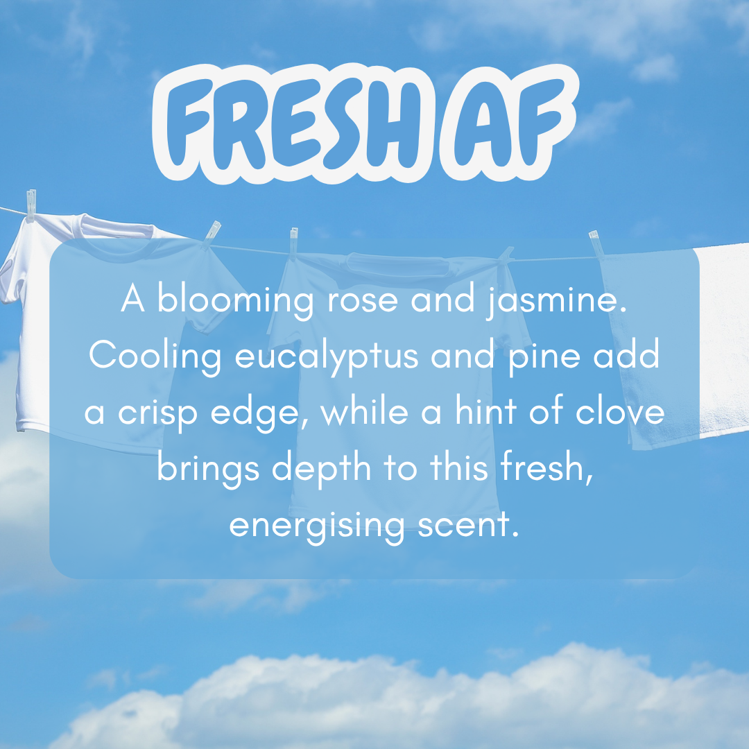 Toilet Fizz