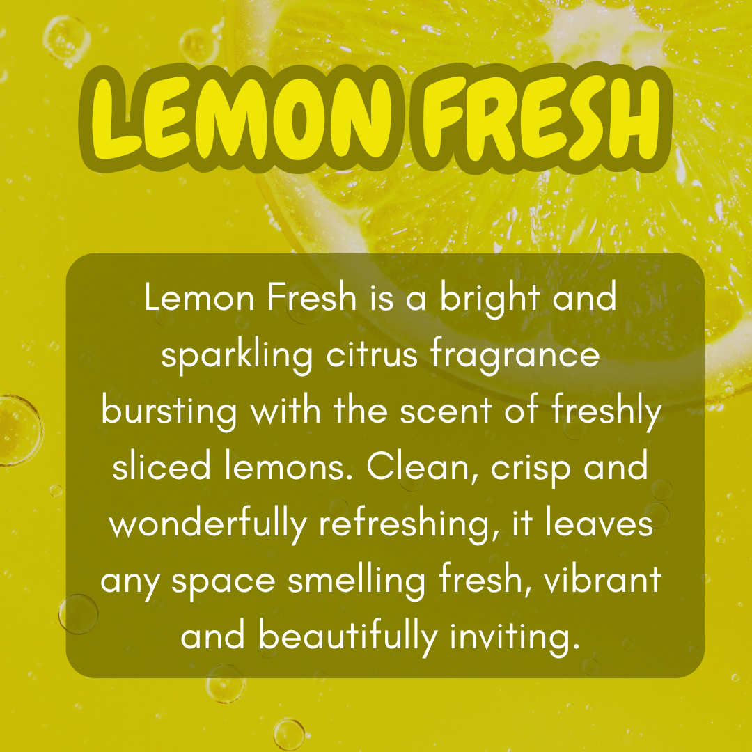 Toilet Fizz