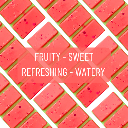 Watermelon Sugar Pie Snap Bar